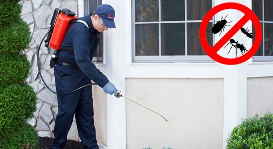 Bartın Fare İlaçlama böcek ilaçlama ve haşere kontrolü — ilaclama-tr.com